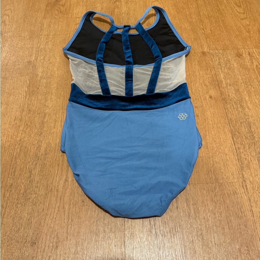 Blue and Navy Leotard